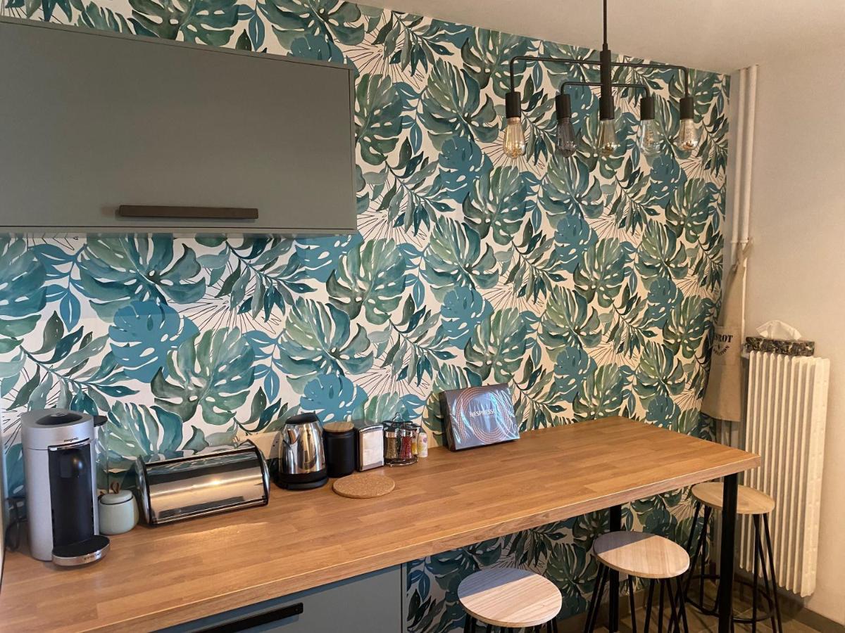 Magnifique appartement au coeur de Mulhouse Extérieur photo