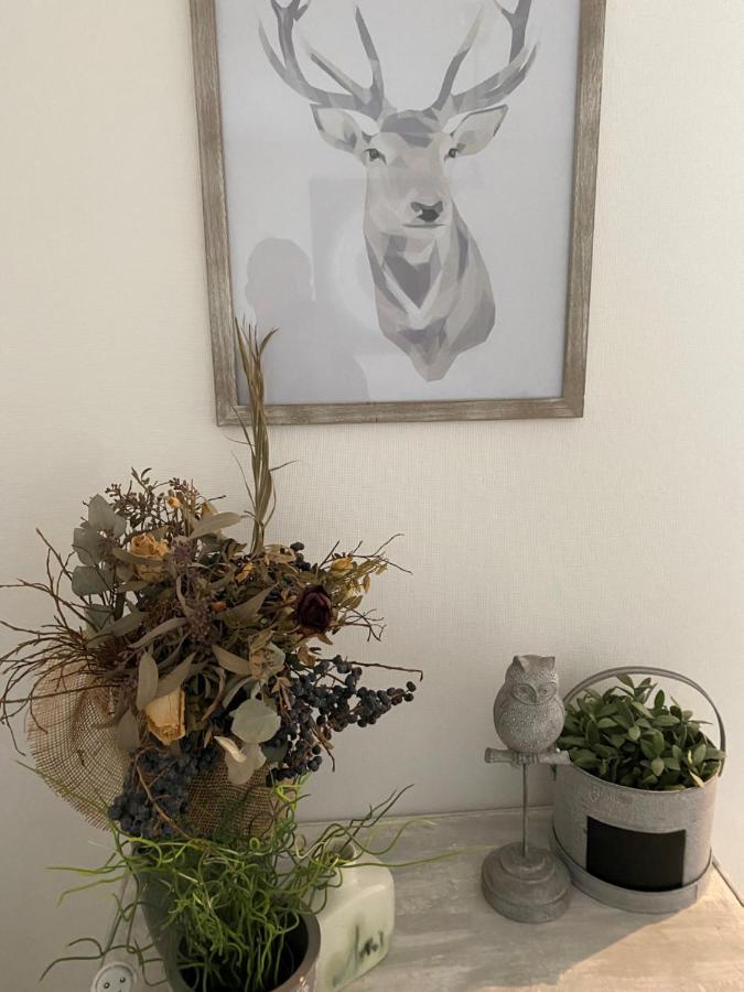 Magnifique appartement au coeur de Mulhouse Extérieur photo